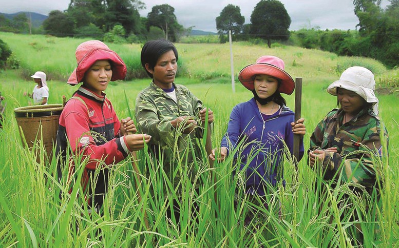 Phân bổ vốn ngân sách tại địa phương để Đăng ký nhận khuyến mãi  J88 là nhà cái cá cược trực tuyến uy tín Châu Á mới và giảm nghèo bền vững giai đoạn 2026–2030