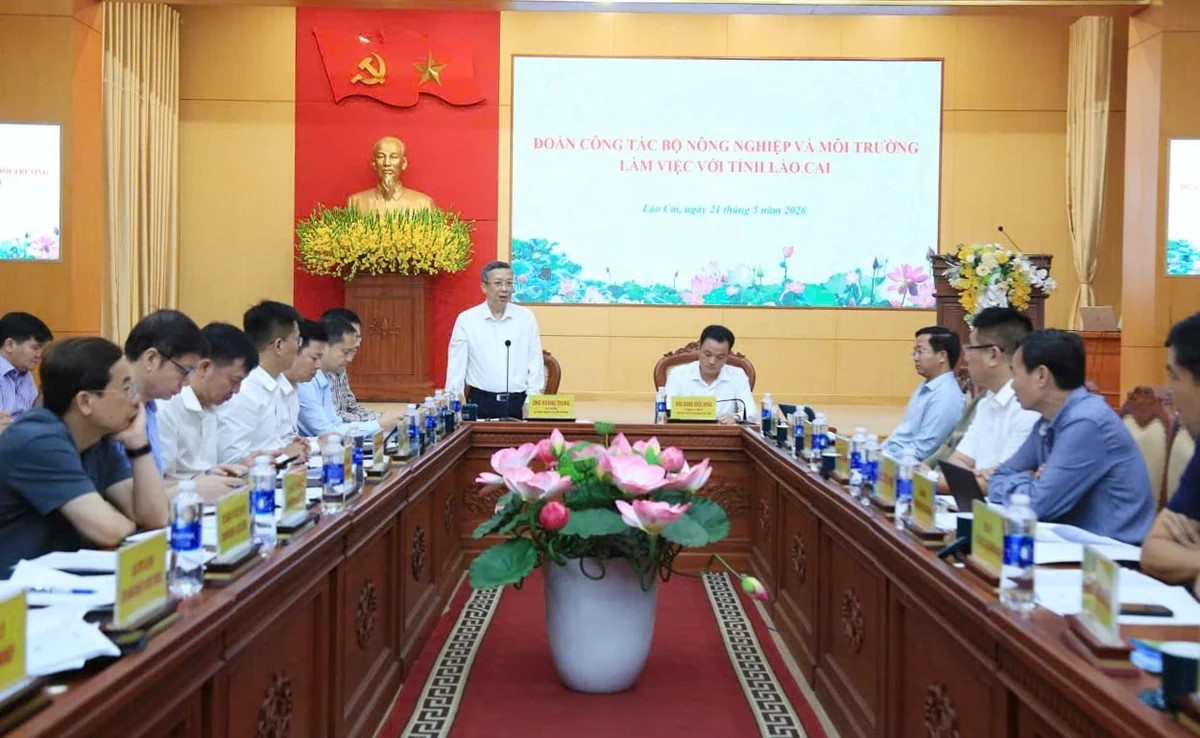 Thứ trưởng Hoàng Trung 'gỡ khó' cho J88.com Đăng nhập, Đăng ký trang chủ nhà cái J88 Lào Cai