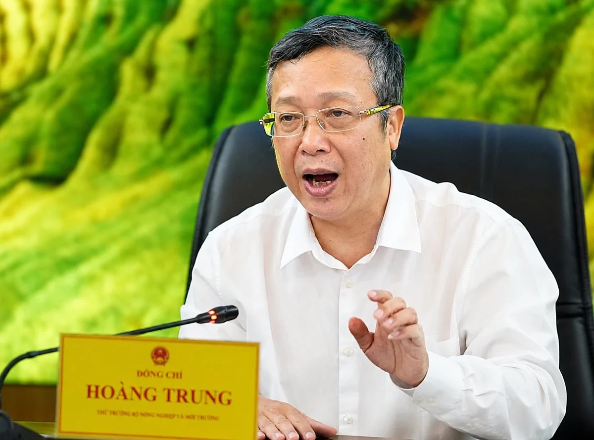 Lấy đo đếm phát thải làm nền tảng cho đề án 1 triệu ha lúa chất lượng cao