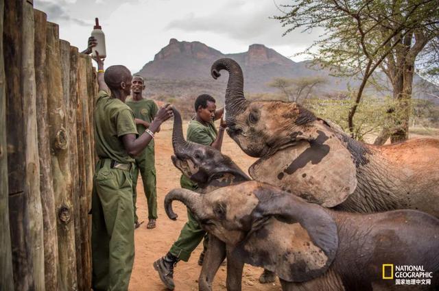   UBND tỉnh họp chỉ đạo công tác phòng, chống bệnh dịch tả lợn châu Phi