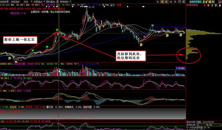   Thái Bình trồng trên 1.400 cây xanh dịp Tết Tân Sửu 2021