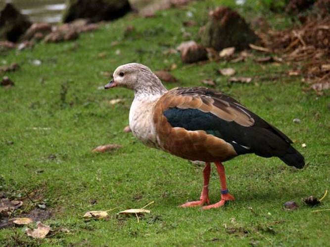   Hòa Bình: Đăng ký nhận khuyến mãi  J88 là nhà cái cá cược trực tuyến uy tín Châu Á mới nâng cao