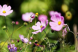   Ngày hội đại đoàn kết toàn dân tộc - khơi dậy khát vọng Đăng ký nhận khuyến mãi  cuộc sống ấm no, hạnh phúc
