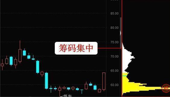 Kế hoạch tổ chức Đại hội Thể dục thể thao các cấp tỉnh Hải Dương lần thứ X, năm 2025 - 2026 - Ảnh 1.